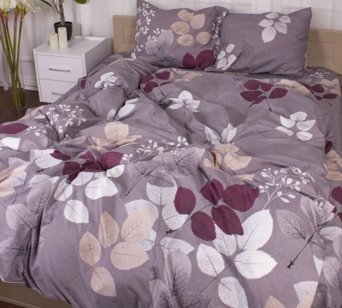 Комплект постельного белья Микрофибра принт 15-0362 Phoebus - 2