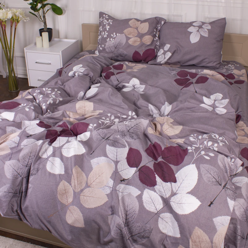 Комплект постільної білизни Мікрофібра принт 15-0362 Phoebus - 1