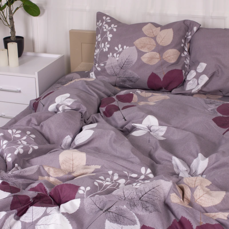 Комплект постільної білизни Мікрофібра принт 15-0362 Phoebus - 2