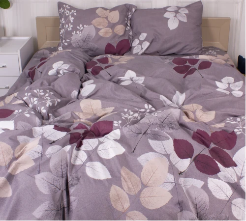 Комплект постельного белья Микрофибра принт 15-0362 Phoebus