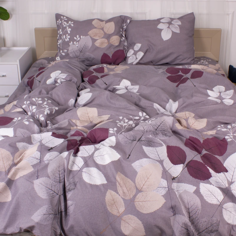 Комплект постільної білизни Мікрофібра принт 15-0362 Phoebus