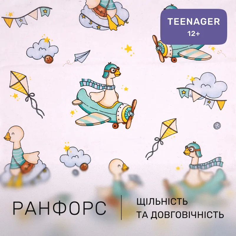 Комплект постельного белья Ranforce Elite TEENAGER 17-0927 Little Goose - 1