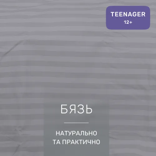 Комплект постельного белья Бязь TEENAGER 17-0601 Stripe Gray - 2