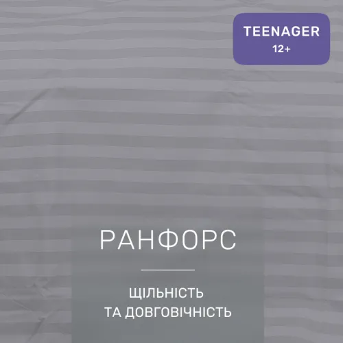 Комплект постельного белья Ranforce Elite TEENAGER 17-0601 Stripe Gray - 2