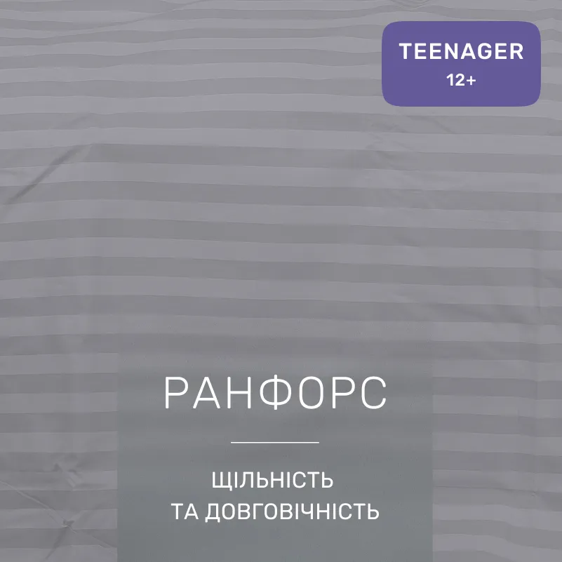 Комплект постельного белья Ranforce Elite TEENAGER 17-0601 Stripe Gray - 1