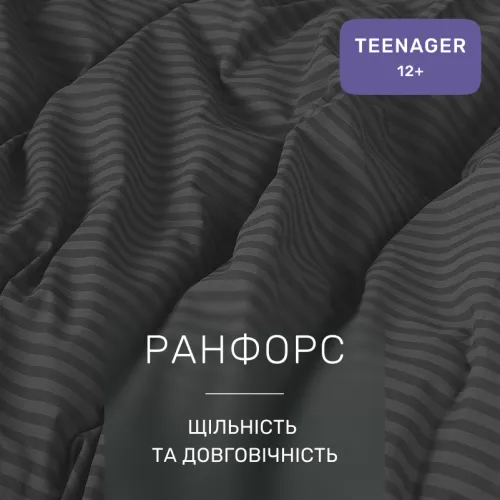 Комплект постельного белья Ranforce Elite TEENAGER 17-0611 Stripe Black - 2