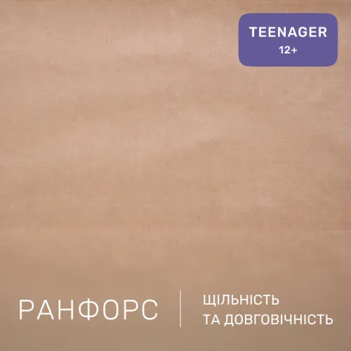 Комплект постельного белья Ranforce Elite TEENAGER 17-0921 Tiny Pilot - 2