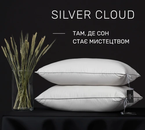 Подушка бамбукова Silver Cloud №1019 BamBoo сатин - 2