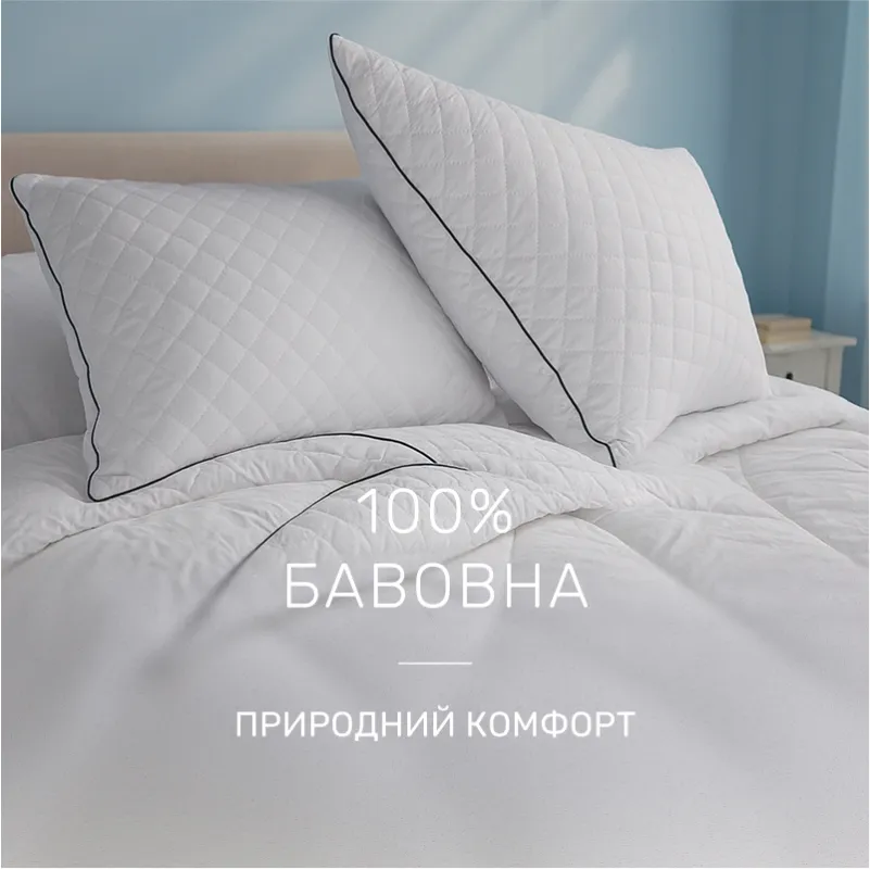  Набор антиаллергенный №9589 "Royal" Ecosilk Зима (Одеяло + подушка) - 3