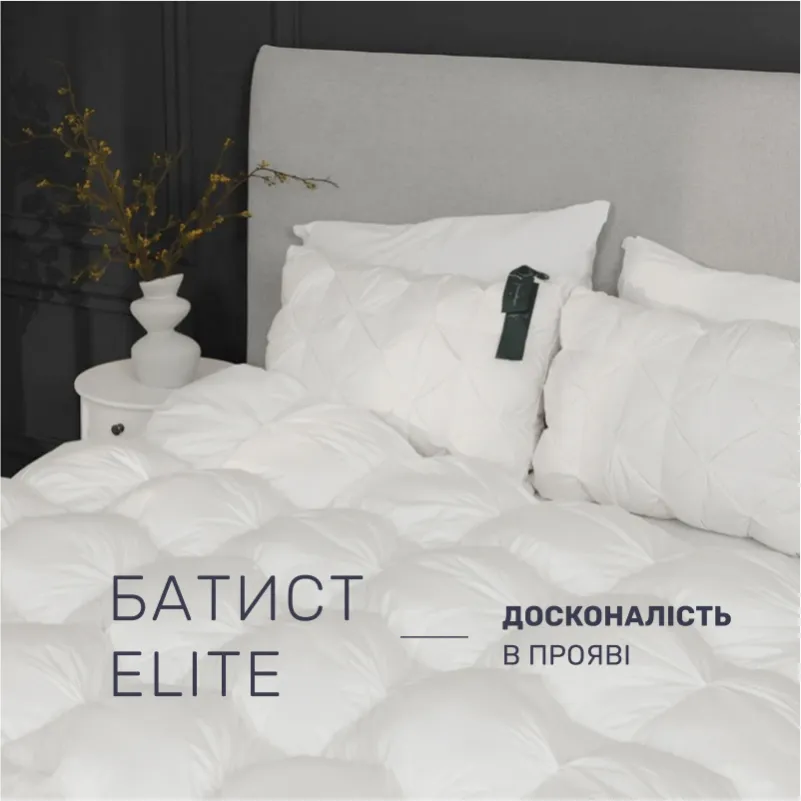 Набір пуховий №10001 "Imperial Brilliance" Зима (Ковдра + подушка) - 2