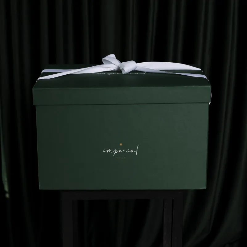 Набір пуховий №10001 "Imperial Brilliance" Зима (Ковдра + подушка) - 9