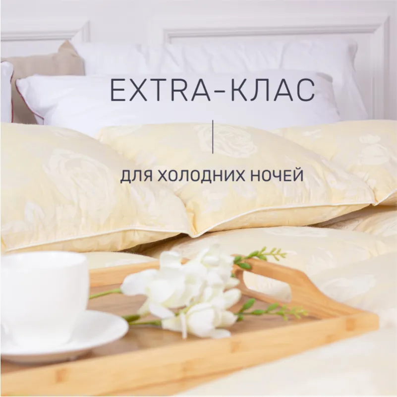 Набір пуховий №9512 "Extra" Зима + (Ковдра + подушка) - 1