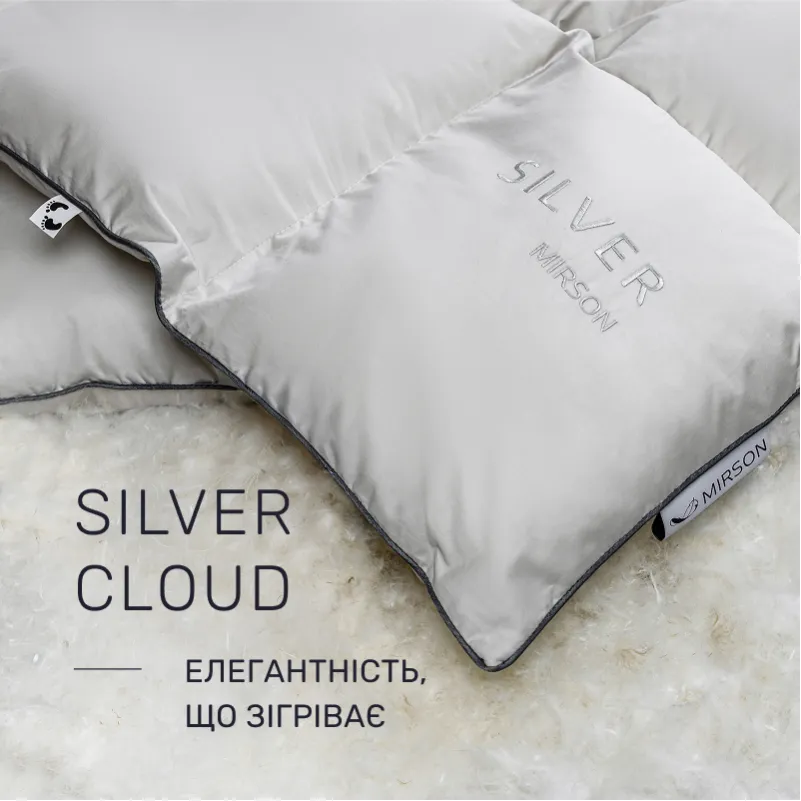Набір пуховий №9520 "Silver Cloud" Зима + (Ковдра + подушка) - 1