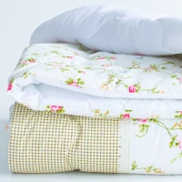 Ковдри (економ)