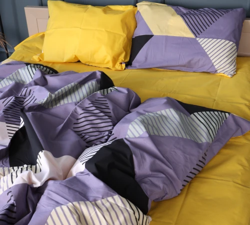 Підковдра Бязь 17-0828 Geometric block - 2