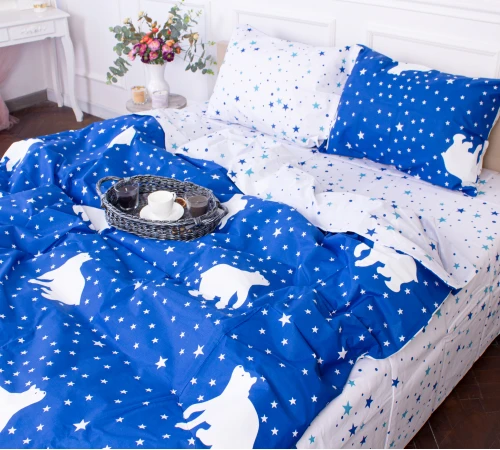 Підковдра Бязь 19-0809 Luna