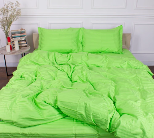 Постельное белье Satin Stripe 30-0016 Light Green - 2