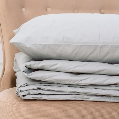 Летний постельный комплект №2619 EcoSilk 16-5703 Light Gray (одеяло + наволочки)