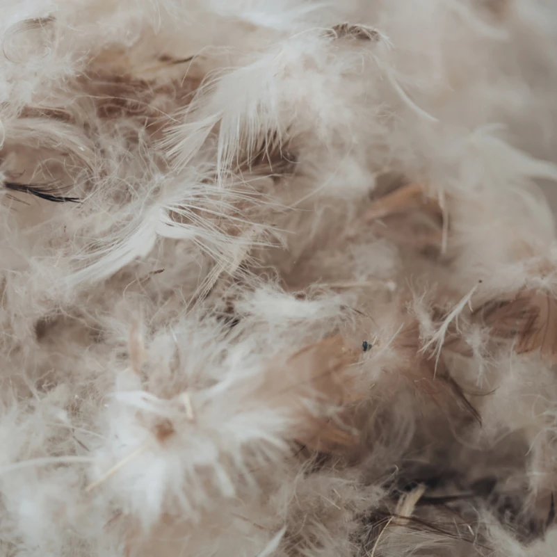 Подушка пухова Екстра 10% сірий пух Extra / 90% перо тік (середня) - 9