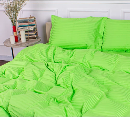 Постельное белье Satin Stripe 30-0016 Light Green