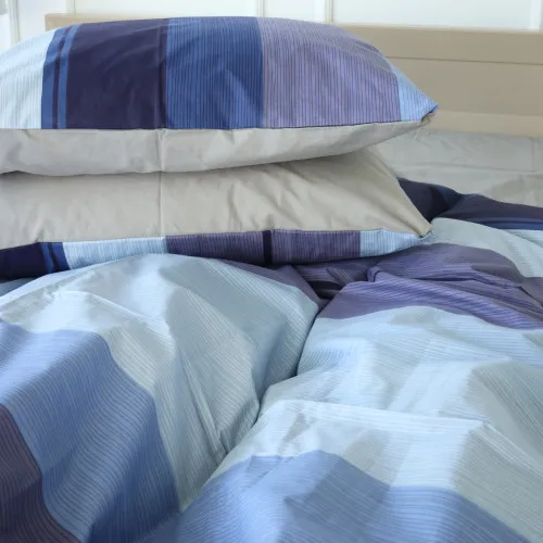 Наволочка Ranforce Elite 17-4738 Anthony