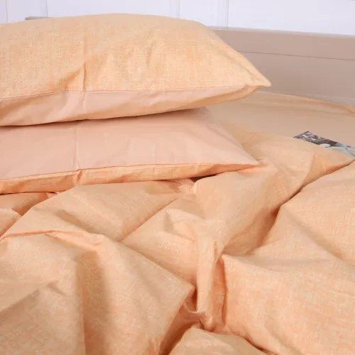 Наволочка Ranforce Elite 17-4780 Argentei