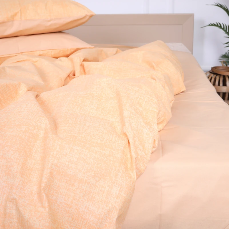 Наволочка Ranforce Elite 17-4780 Argentei - 4