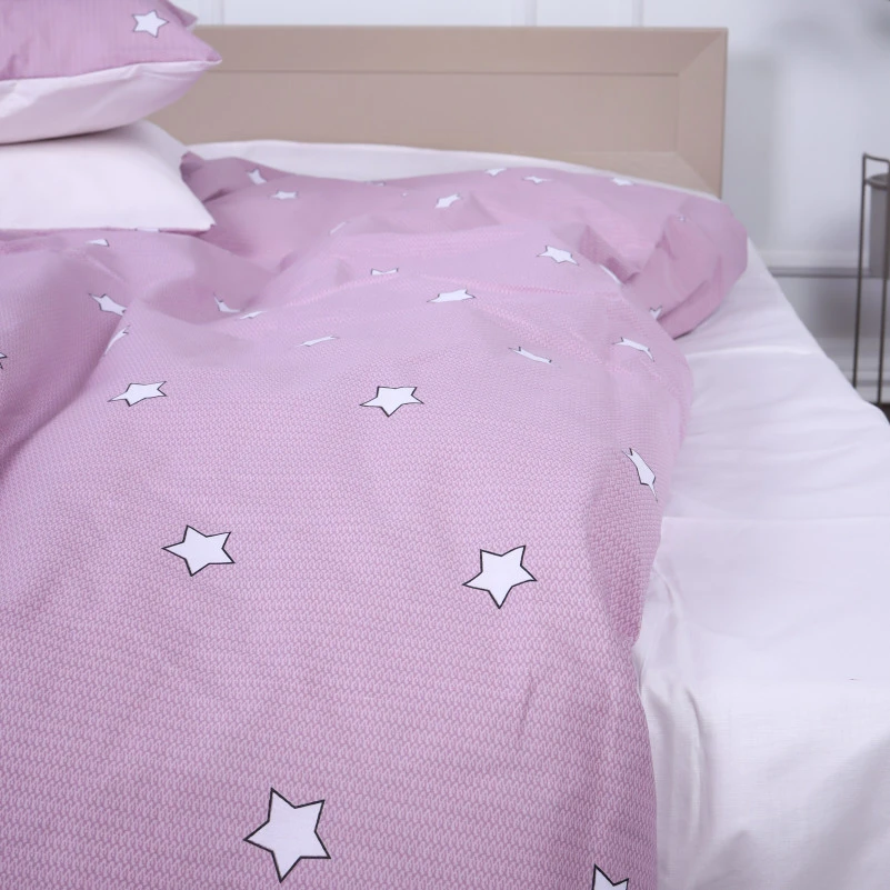 Комплект постельного белья Ranforce Elite 17-4786 Annweiler am Trifels - 4