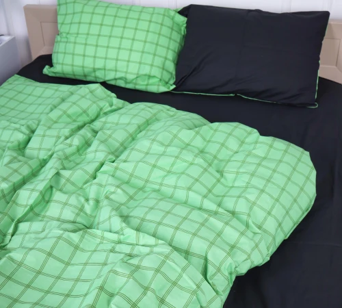 Підковдра Бязь 17-4788 Bad Wünnenberg