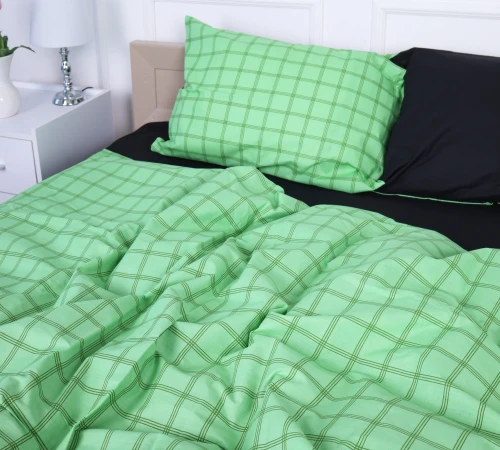 Підковдра Бязь 17-4788 Bad Wünnenberg - 2