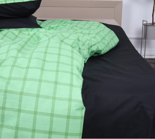 Простирадло Ranforce Elite 17-4788 Bad Wünnenberg