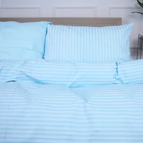 Комплект постельного белья Ranforce Elite 17-4797 Castro dei Volshi - 2