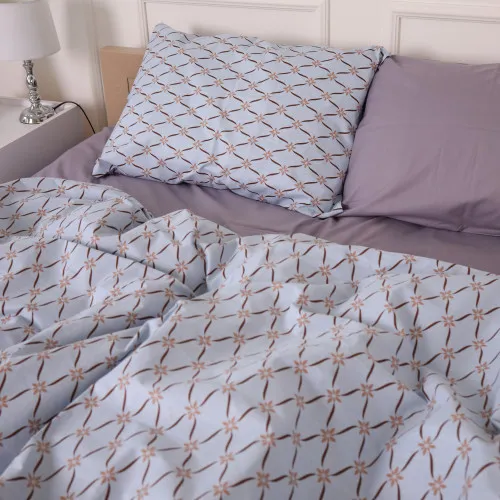 Підковдра Бязь 17-4820 Rayner - 2