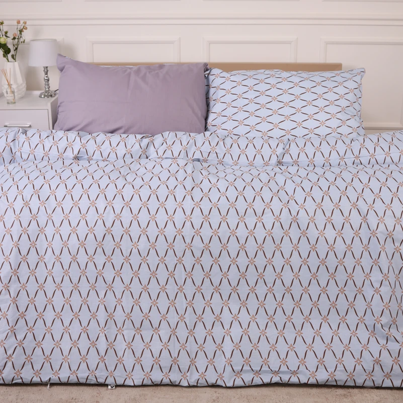 Наволочка Ranforce Elite 17-4820 Rayner - 1