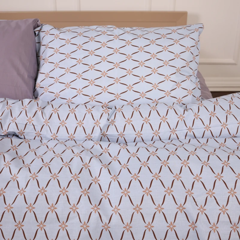 Наволочка Ranforce Elite 17-4820 Rayner - 2