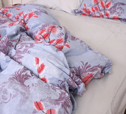 Простирадло Сатин 22-1341 Matteo - 2