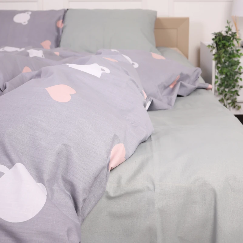 Комплект постільної білизни Бязь 17-4833 Douglas - 2