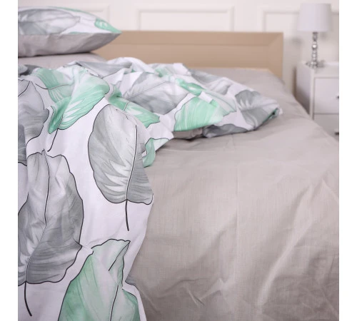 Простирадло Ranforce Elite 17-4843 Evelina