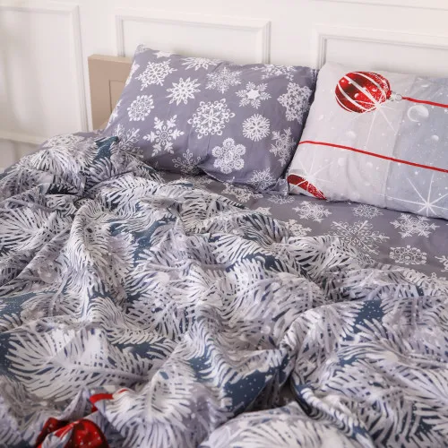 Комплект постельного белья Бязь 17-0657 Mistletoe - 2