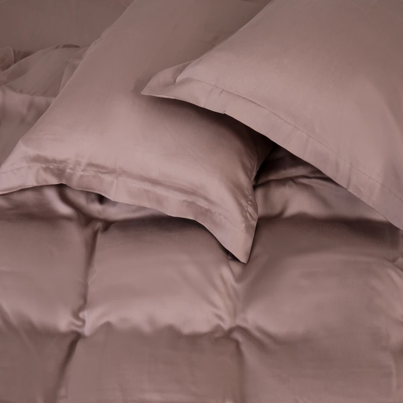 Комплект постільної білизни Tencel №08 Beige