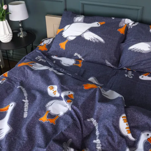 Простынь Бязь 17-0662 Гусь Обнимусь - 2