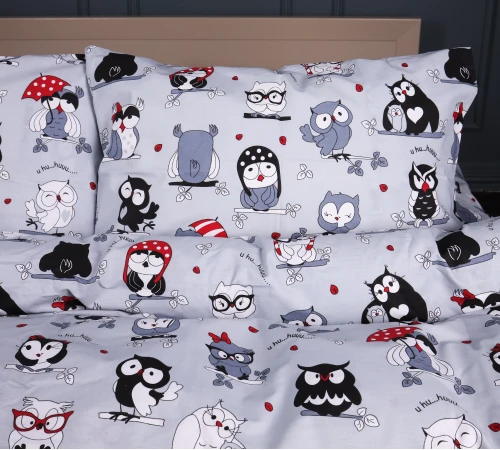 Комплект постельного белья Ranforce Elite 17-0672 Silver Owlets - 2