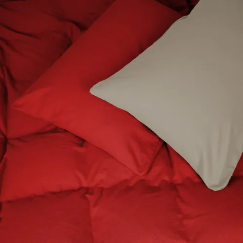 Підковдра Фланель 004-009 "Cappuchino/Red"