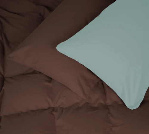 Комплект постільної білизни Фланель 006-003 "Menthol/Brown"