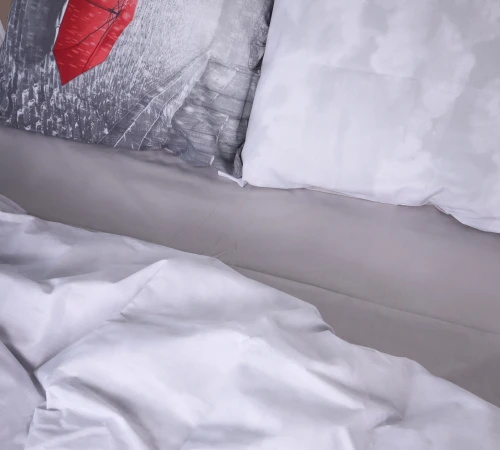 Комплект постельного белья Бязь 17-0138 Pluie - 2