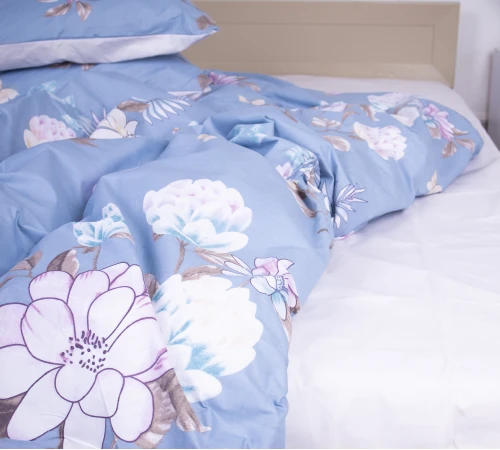 Простынь Ranforce Elite 17-0434 -2 Azure flower