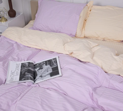 Постельное белье Satin Stripe 30-0007 + 30-0004 Evanjalin