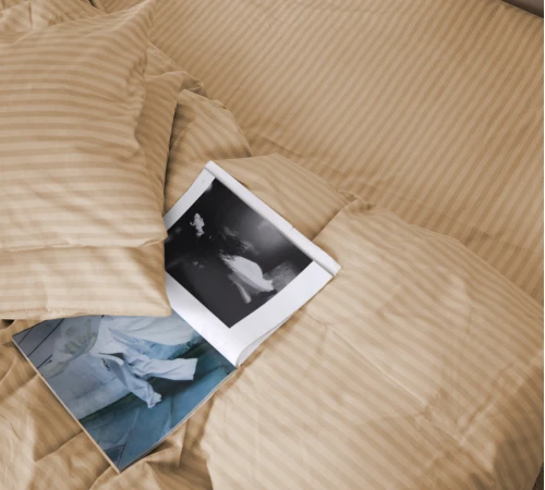 Підковдра Бязь 17-0602 Stripe Creamy - 2