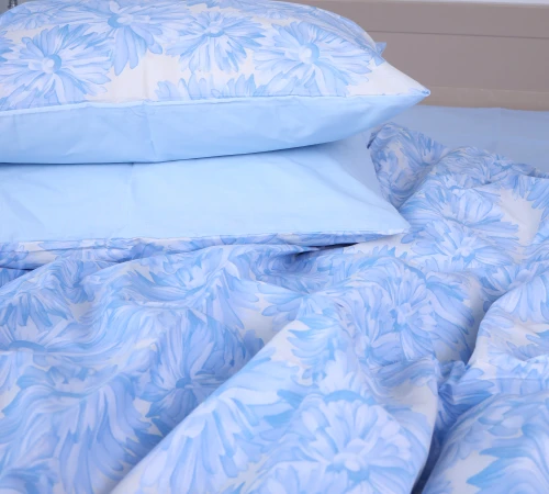 Наволочка Ranforce Elite 17-4759 Bridgertons