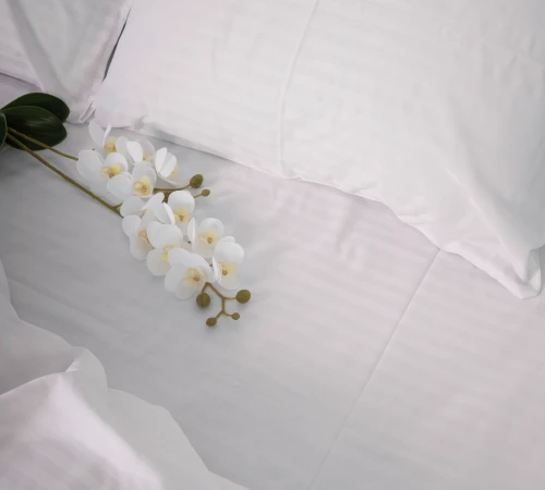 Комплект постільної білизни Cotton Twill 55-0001 Romina - 2